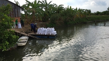 Diện tích nuôi trồng thủy sản tỉnh Vĩnh Long năm 2021 giảm 3,8%