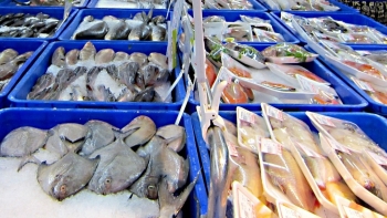 Xuất khẩu thủy hải sản sang Philippines tăng trưởng mạnh