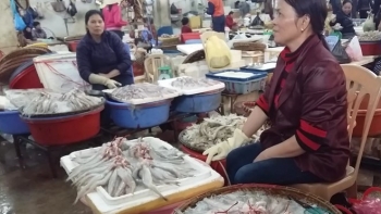 Giá cá khoai tăng cao