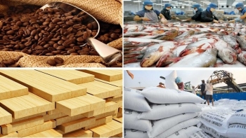 Kim ngạch xuất nhập khẩu của Việt Nam gần đạt 600 tỷ USD