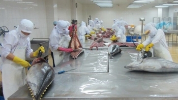 Xuất khẩu cá ngừ Việt Nam sang thị trường Trung Đông tăng 15%