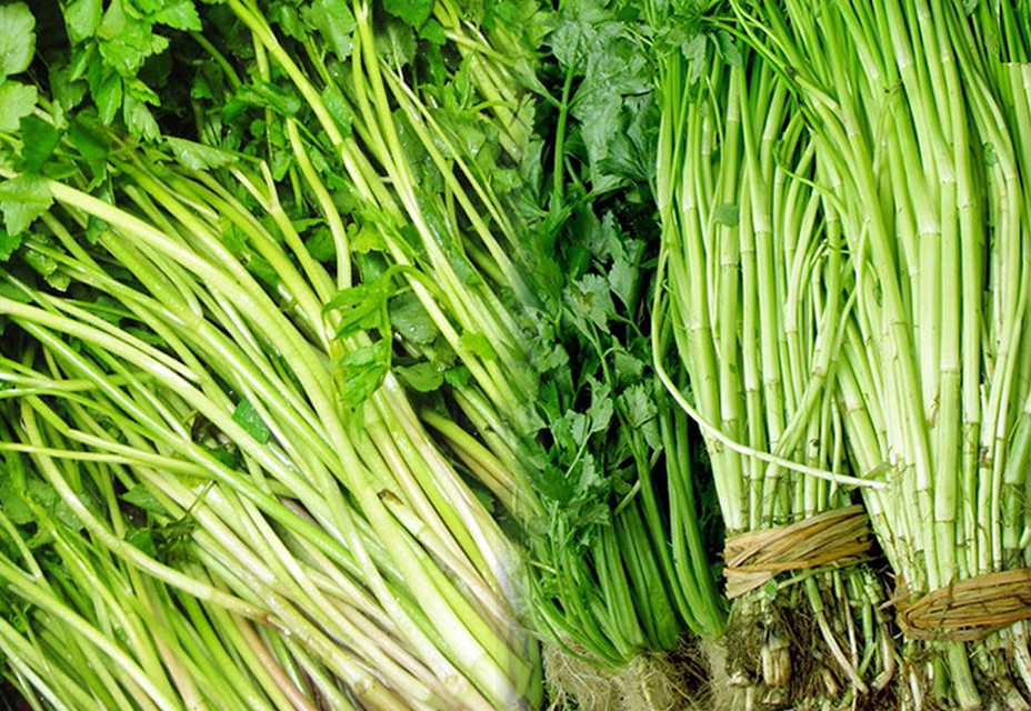 Hoàng Lương (Hiệp Hòa - Bắc Giang): Rau cần thuận lợi tiêu thụ