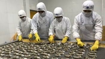 Xuất khẩu thủy sản sang thị trường Nhật Bản đạt trên 111.000 tấn