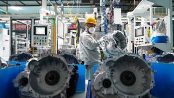 Kim ngạch nhập khẩu hàng hóa của Việt Nam đạt hơn 300 tỷ USD