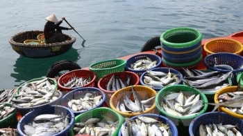 Sản xuất thủy sản của tỉnh Kiên Giang tăng gần 4% trong năm 2021