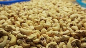 Xuất khẩu hạt điều năm 2021 dự kiến vượt mục tiêu 3,6 tỷ USD