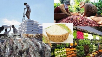 Thái Bình xếp thứ 14 về tốc tốc độ tăng trưởng GRDP