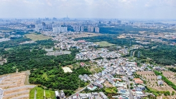 Cần Giuộc "lên hương" nhờ liên kết vùng ngày càng nâng cấp