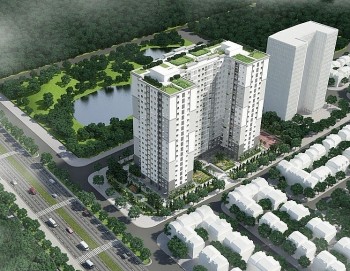 Những đối tượng nào được giảm 30% tiền thuế đất năm 2021?