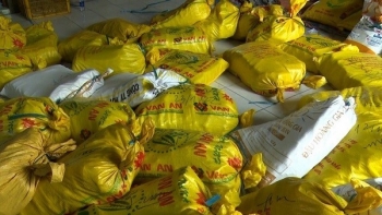 An Giang: Phát hiện, thu giữ hơn 6.500kg chả đòn chay sử dụng hàn the