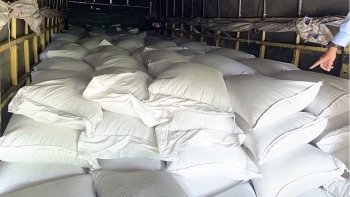 An Giang: Bắt xe tải chở 18,8 tấn đậu nành không rõ nguồn gốc xuất xứ