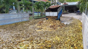 Đồng Tháp: Phát hiện trên 37 tấn chất thải chưa qua xử lý