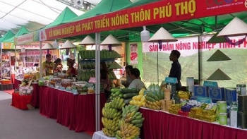 Phú Thọ: Quảng bá, giới thiệu và liên kết tiêu thụ các sản phẩm OCOP gắn với du lịch