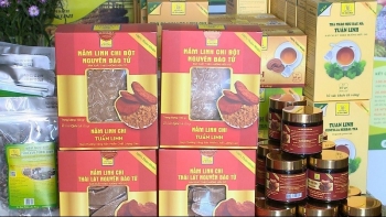 Quảng Bình: Đẩy mạnh hỗ trợ phát triển sản phẩm OCOP địa phương