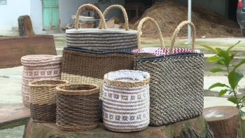 Thái Bình phấn đấu có trên 20 sản phẩm được công nhận OCOP 3 sao cấp tỉnh năm 2022