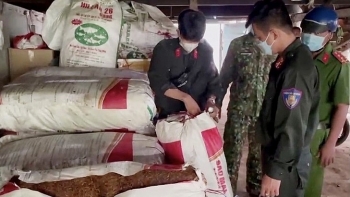 An Giang: Phát hiện điểm tập kết 320kg nguyên liệu làm thuốc lá không rõ nguồn gốc xuất xứ