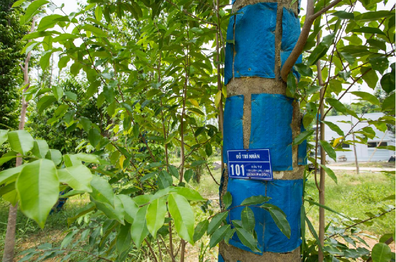 Công ty Cổ phần Trầm Hương Sinh Học TTT