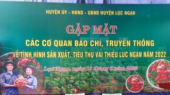 Huyện Lục Ngạn (Bắc Giang): Thông tin tình hình sản xuất, tiêu thụ vải thiều năm 2022