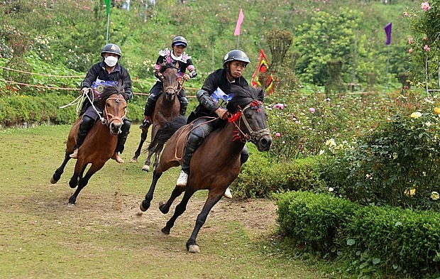 Triển khai nhiều hoạt động, sự kiện văn hóa thu hút khách du lịch