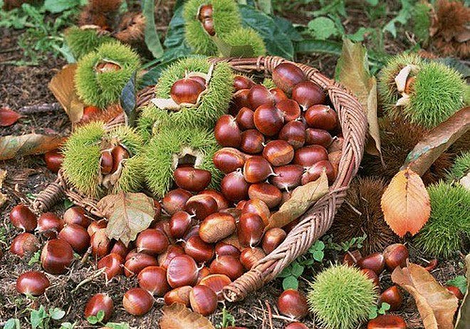 Tạo điều kiện đưa toàn bộ sản phẩm nông sản lên sàn thương mại điện tử (ảnh minh họa) Tạo điều kiện đưa toàn bộ sản phẩm nông sản lên sàn thương mại điện tử (ảnh minh họa)