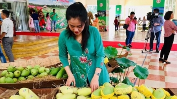 Đồng Tháp: Sắp diễn ra Lễ hội Xoài Cao Lãnh 2022