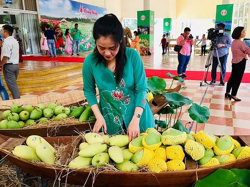 Thương hiệu Xoài Đồng Tháp