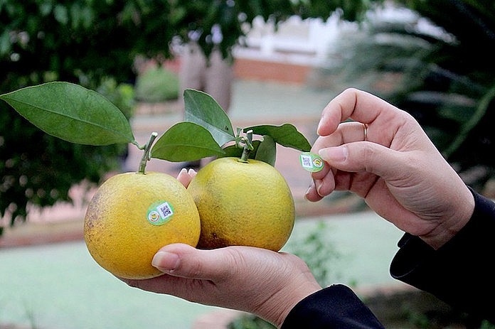 Nghệ An: 63 sản phẩm OCOP 3 sao trở lên được đưa lên các sàn thương mại điện tử