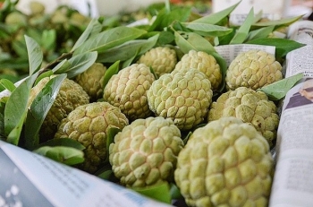 Sản phẩm OCOP: Lạng Sơn đánh giá, phân hạng sản phẩm OCOP đợt II năm 2021