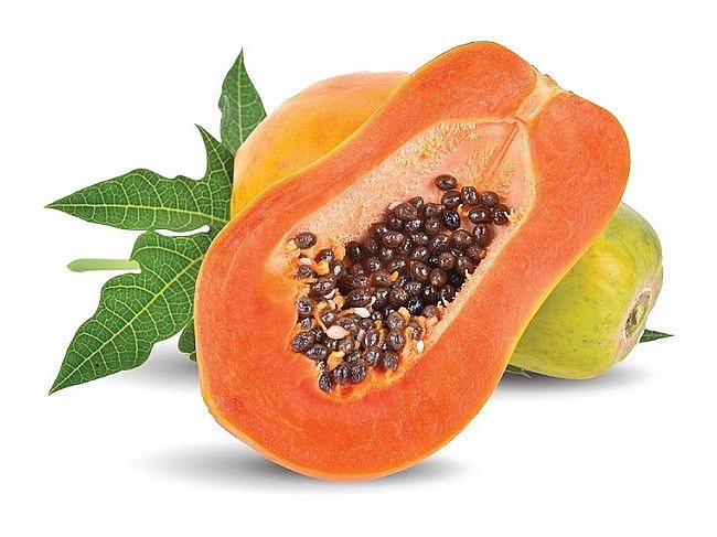 Papain có trong quả đu đủ giúp điều trị nhiễm khuẩn, hỗ trợ giảm nhẹ các triệu chứng do viêm phổi gây ra Papain có trong quả đu đủ giúp điều trị nhiễm khuẩn, hỗ trợ giảm nhẹ các triệu chứng do viêm phổi gây ra