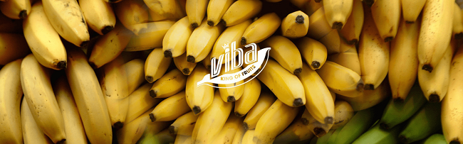 Phấn đấu nâng cấp sản phẩm lên 4 sao