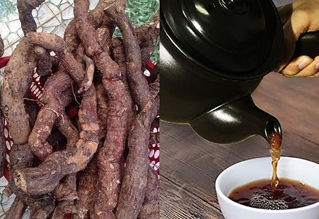 Hà thủ ô trắng dùng làm thuốc bổ rất tốt