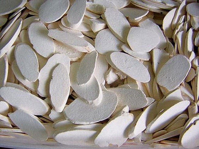 Hà thủ ô trắng có thể thu hái quanh năm