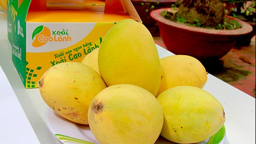 Cuộc thi “Trái xoài ngon nhất” sẽ được tổ chức tại Đồng Tháp vào năm 2022