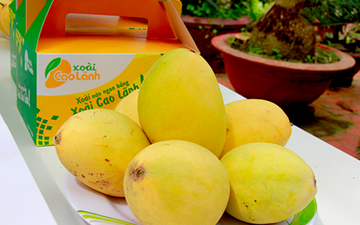 Cuộc thi “Trái xoài ngon nhất” sẽ được tổ chức tại tỉnh Đồng Tháp vào năm 2022