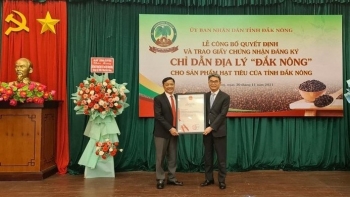 Công bố chỉ dẫn địa lý “Đắk Nông” cho sản phẩm hạt tiêu