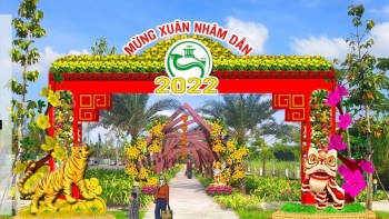 Cần Thơ không tổ chức đường hoa nghệ thuật dịp Tết Nhâm Dần 2022