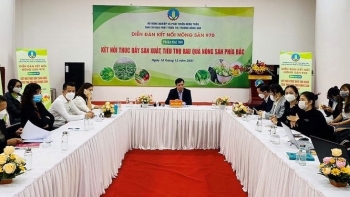 Kết nối thúc đẩy sản xuất, tiêu thụ rau quả nông sản phía Bắc