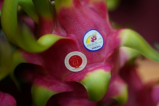 Tem, nhãn hiệu gắn với chỉ dẫn địa lý Bình Thuận và tem chỉ dẫn địa lý do phía Nhật Bản cấp trên quả thanh long Bình Thuận