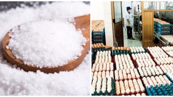 Hạn ngạch thuế quan nhập khẩu muối, trứng gia cầm năm 2021