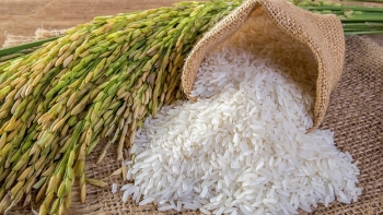 Cập nhật giá gạo hôm nay 5/1: Duy trì ổn định