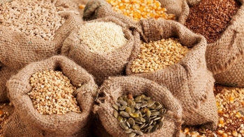 Xuất cấp hạt giống cây trồng cho 3 tỉnh do thiên tai