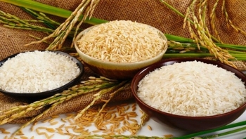 Cập nhật giá gạo hôm nay 7/1: Duy trì ở mức cao