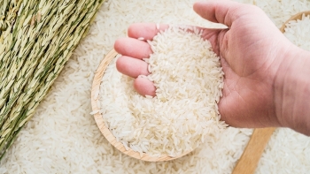 Cập nhật giá gạo hôm nay 9/1: Biến động