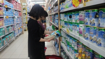 Nhập khẩu sữa và sản phẩm sữa đạt 971,03 triệu USD trong 11 tháng