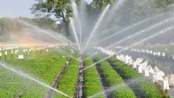 Bộ NN&PTNT đặt mục tiêu đến năm 2025 tăng trưởng xuất khẩu đạt 5%/năm