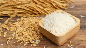 Năm 2020, Philippines đứng đầu về tiêu thụ gạo của Việt Nam