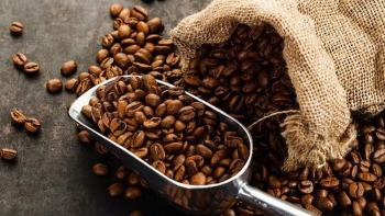 Đầu năm 2021 thị trường cà phê trầm lắng