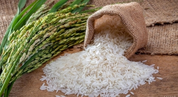 Cập nhật giá gạo hôm nay 18/1: Giữ đà tăng