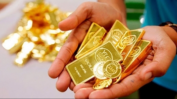 Cập nhật giá vàng hôm nay 19/1: Biến động nhẹ