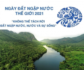 Hưởng ứng Ngày Đất ngập nước Thế giới năm 2021